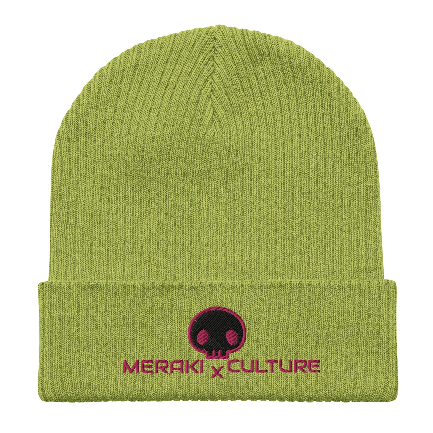 Skull Beanie