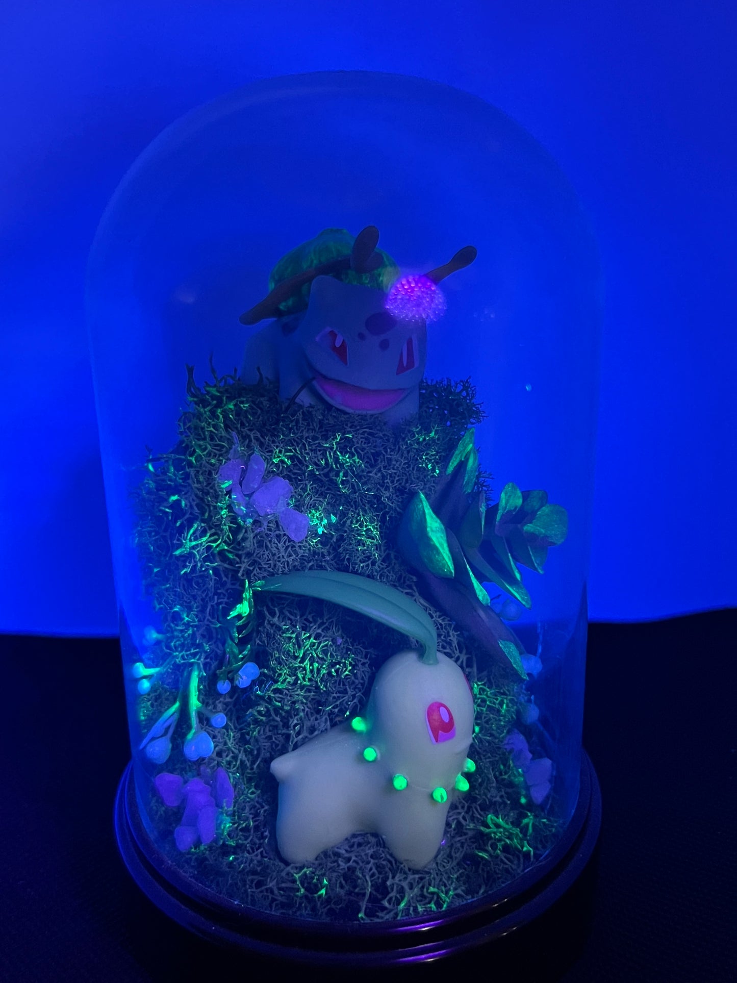 Pokémon Terrarium