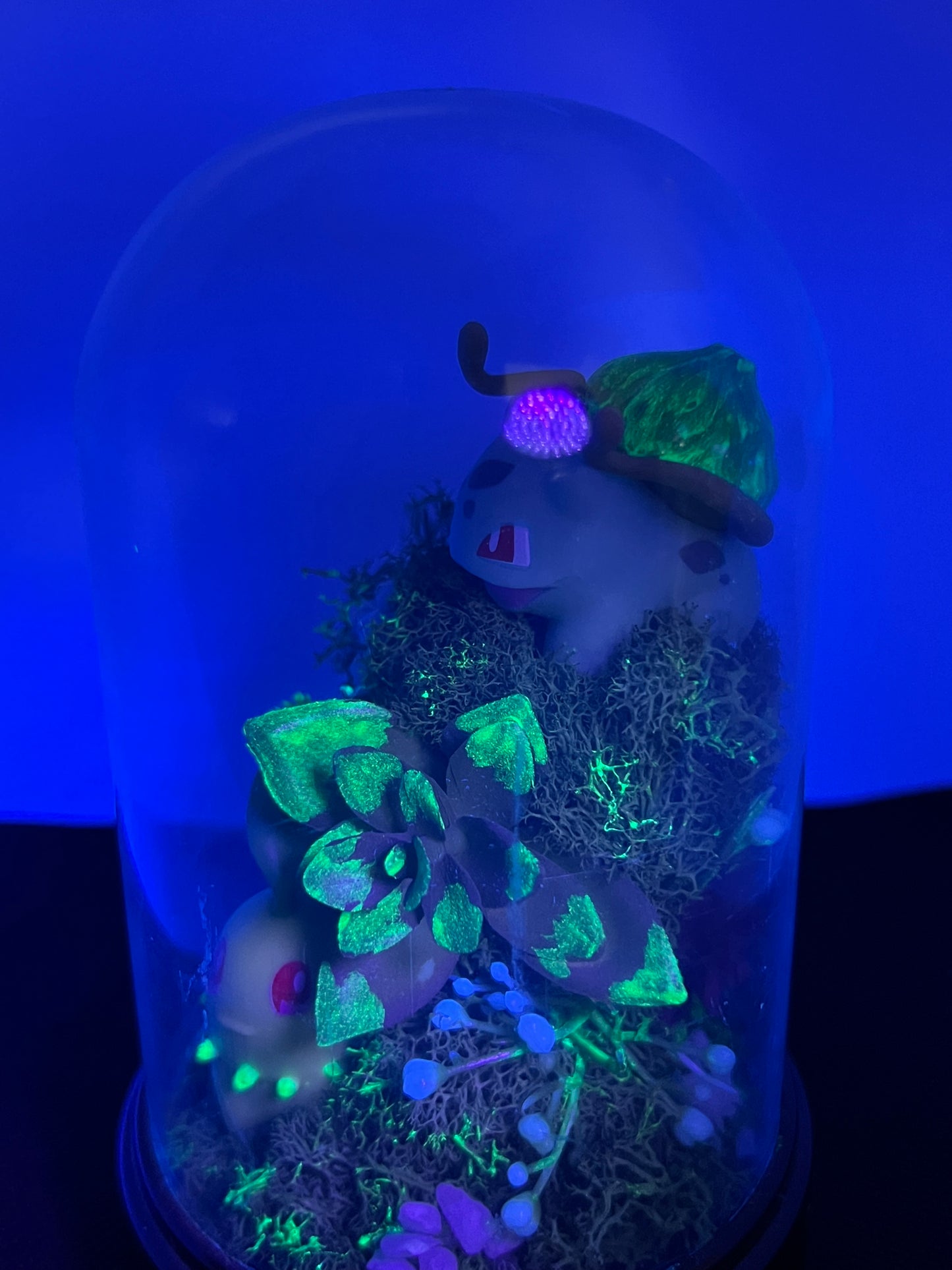 Pokémon Terrarium