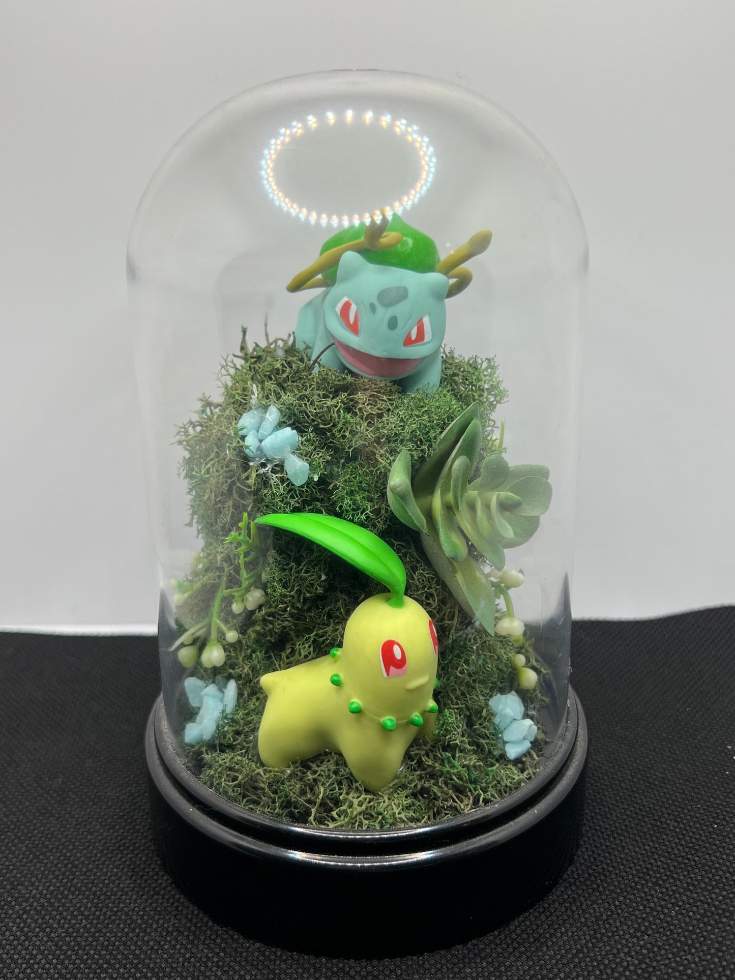 Pokémon Terrarium