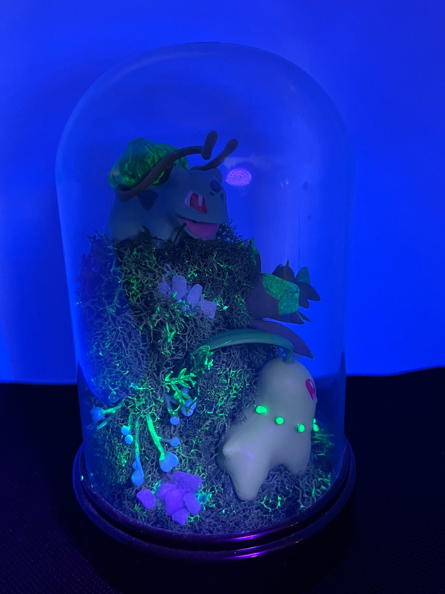 Pokémon Terrarium