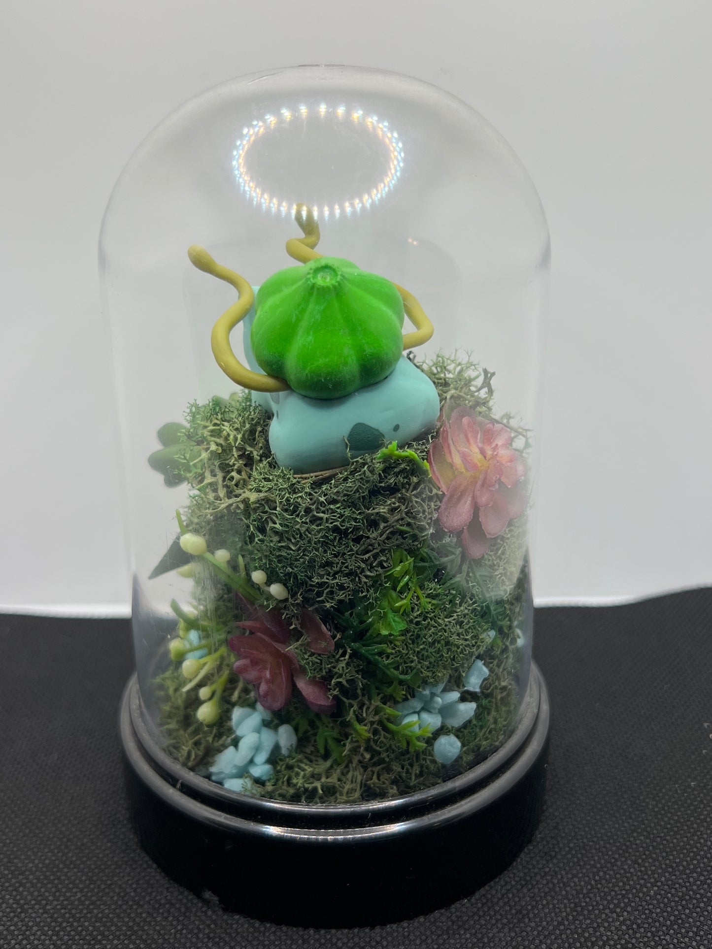 Pokémon Terrarium