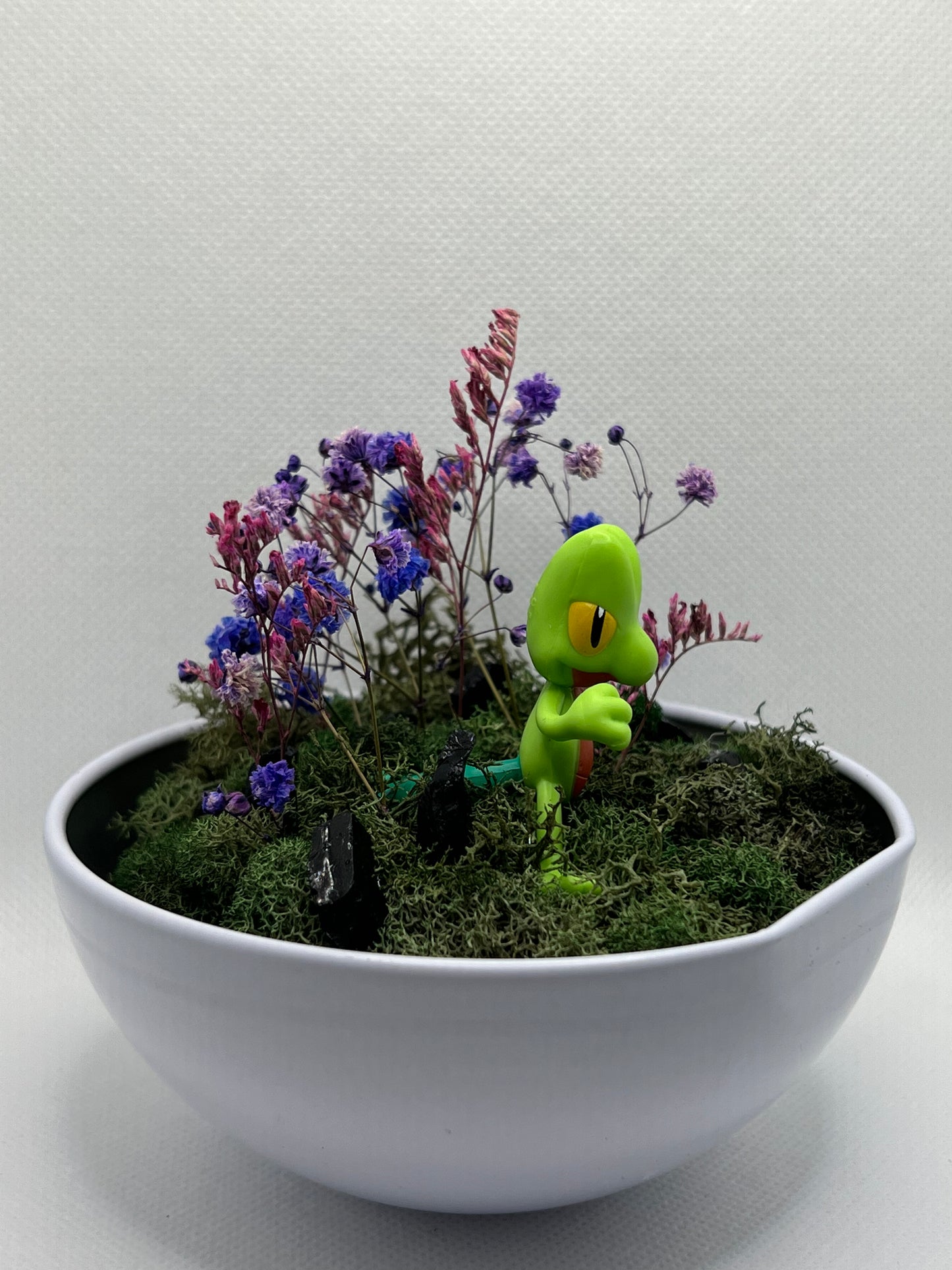 Treecko Terrarium