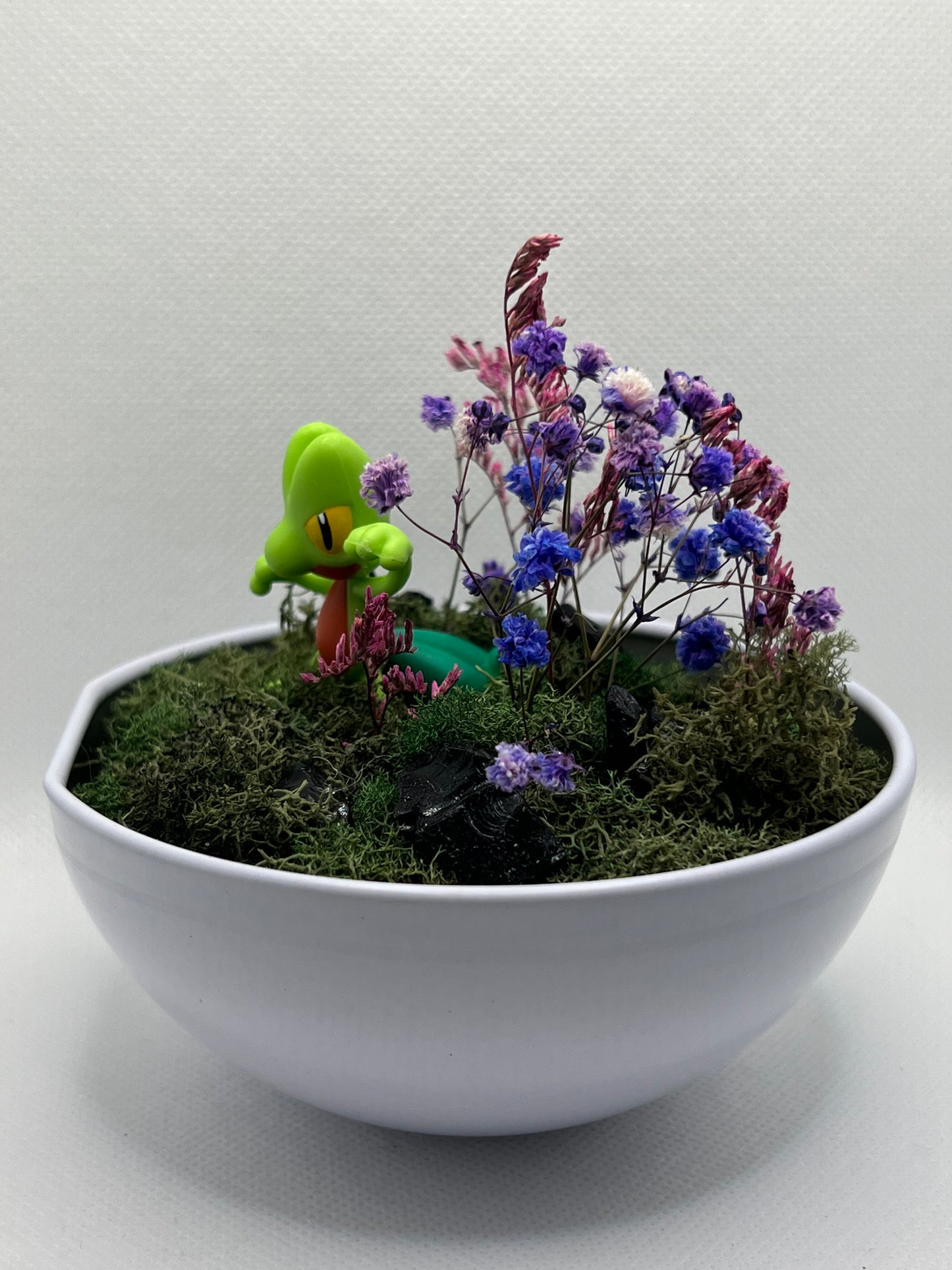 Treecko Terrarium