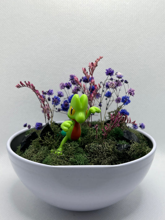 Treecko Terrarium