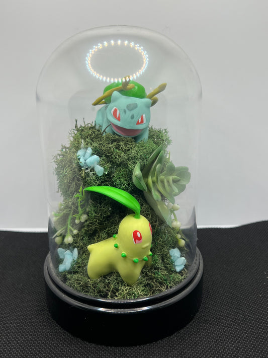 Pokémon Terrarium